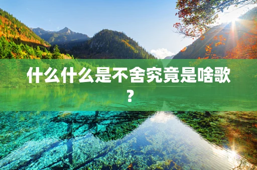 什么什么是不舍究竟是啥歌？