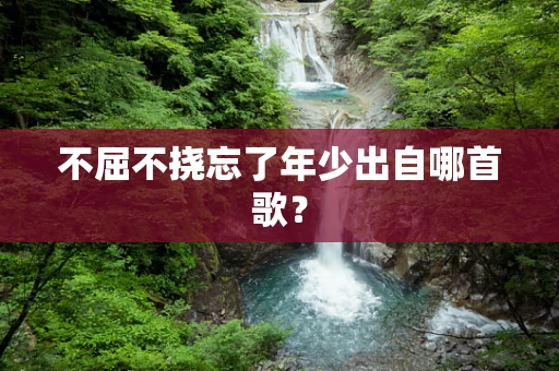 不屈不挠忘了年少出自哪首歌？