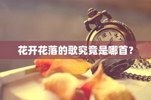 花开花落的歌究竟是哪首？