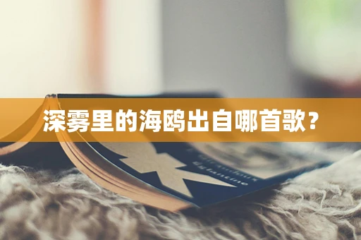 深雾里的海鸥出自哪首歌？