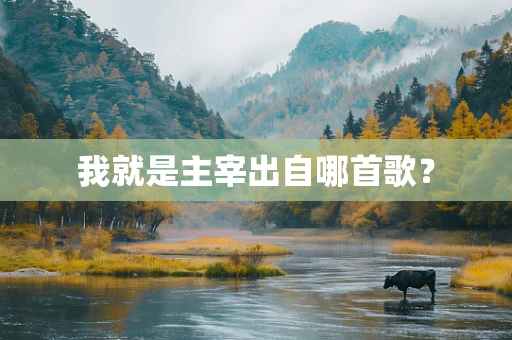 我就是主宰出自哪首歌？