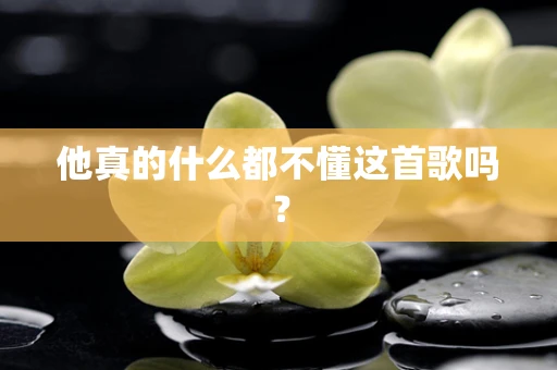 他真的什么都不懂这首歌吗？