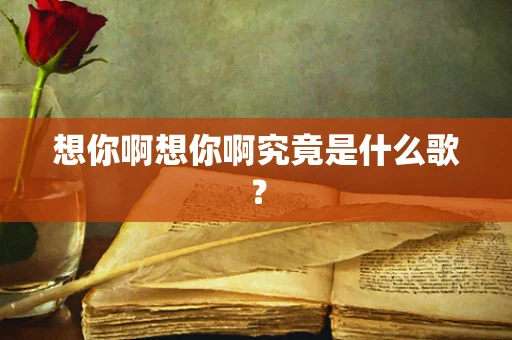 想你啊想你啊究竟是什么歌？