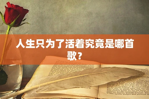 人生只为了活着究竟是哪首歌？