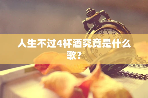 人生不过4杯酒究竟是什么歌？