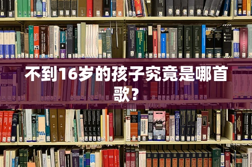 不到16岁的孩子究竟是哪首歌？