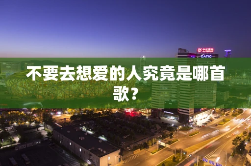 不要去想爱的人究竟是哪首歌？