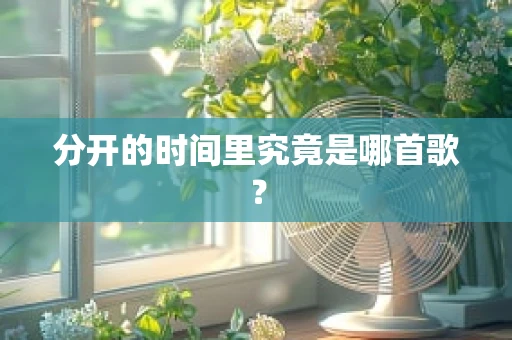 分开的时间里究竟是哪首歌？