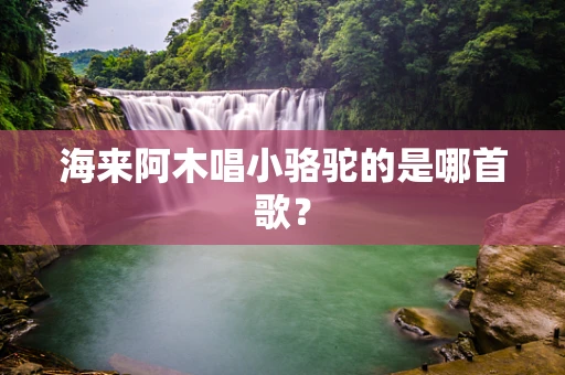 海来阿木唱小骆驼的是哪首歌？