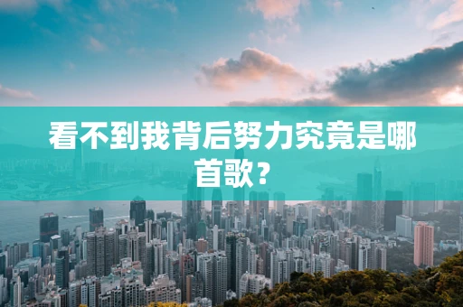 看不到我背后努力究竟是哪首歌？