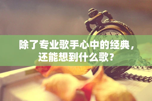 除了专业歌手心中的经典，还能想到什么歌？