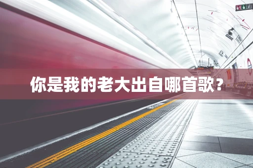 你是我的老大出自哪首歌？