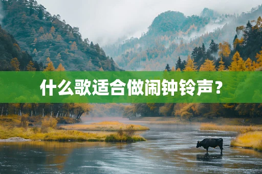 什么歌适合做闹钟铃声？