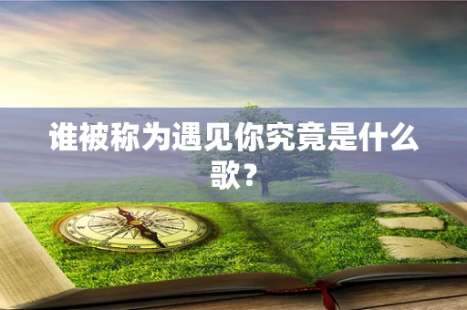 谁被称为遇见你究竟是什么歌？