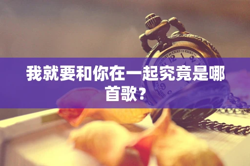 我就要和你在一起究竟是哪首歌？