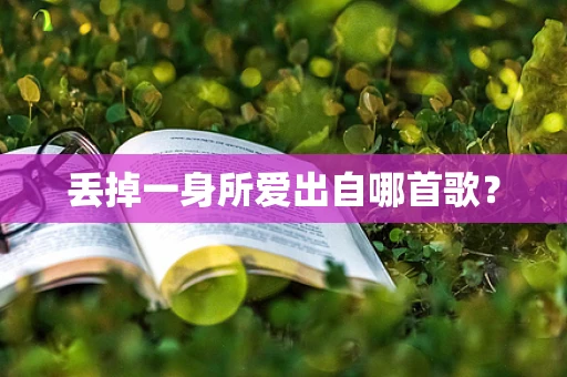 丢掉一身所爱出自哪首歌？