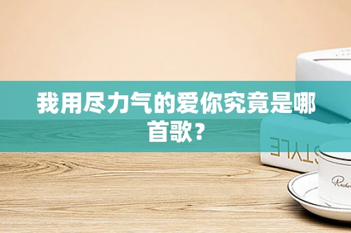 我用尽力气的爱你究竟是哪首歌？