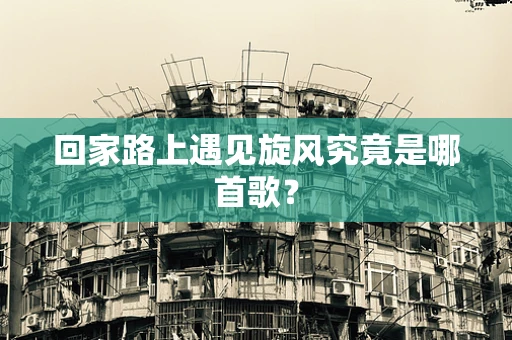 回家路上遇见旋风究竟是哪首歌？