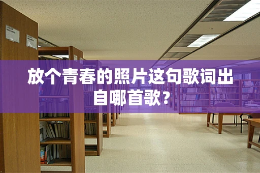 放个青春的照片这句歌词出自哪首歌？