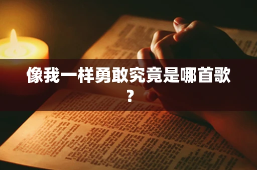 像我一样勇敢究竟是哪首歌？