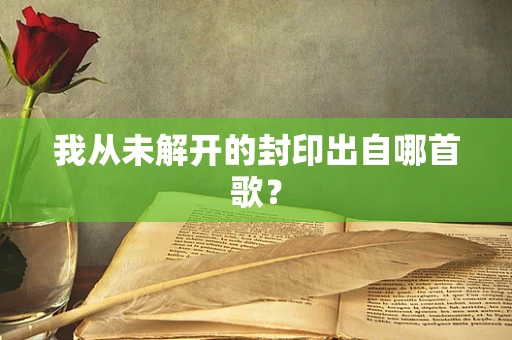 我从未解开的封印出自哪首歌？