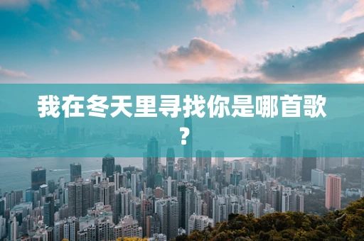 我在冬天里寻找你是哪首歌？