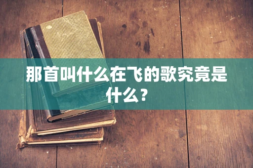 那首叫什么在飞的歌究竟是什么？