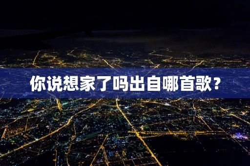 你说想家了吗出自哪首歌？