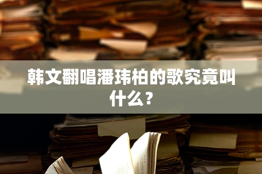 韩文翻唱潘玮柏的歌究竟叫什么？