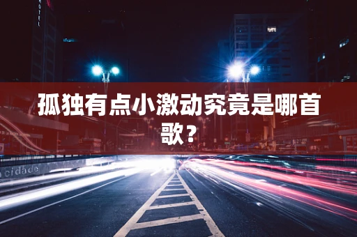 孤独有点小激动究竟是哪首歌？