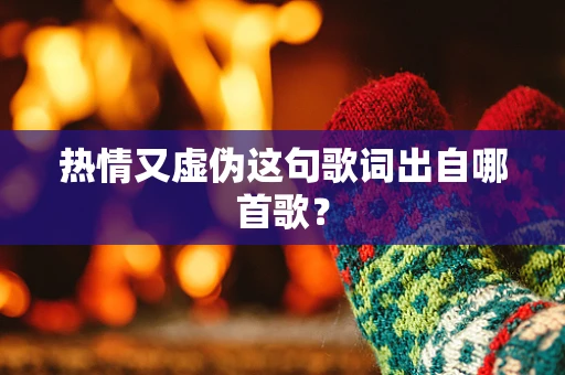 热情又虚伪这句歌词出自哪首歌？