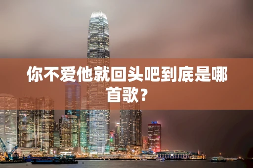 你不爱他就回头吧到底是哪首歌？