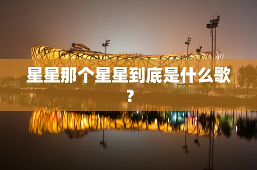 星星那个星星到底是什么歌？