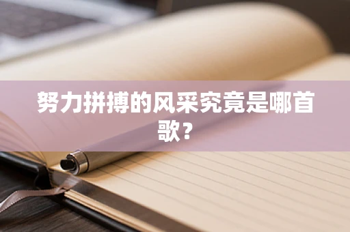 努力拼搏的风采究竟是哪首歌？