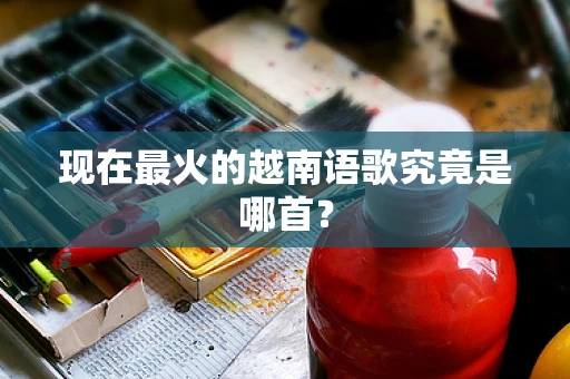 现在最火的越南语歌究竟是哪首？