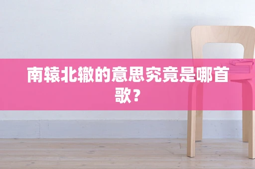 南辕北辙的意思究竟是哪首歌？