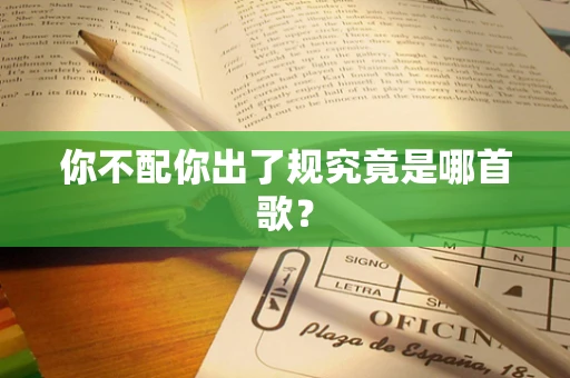 你不配你出了规究竟是哪首歌？