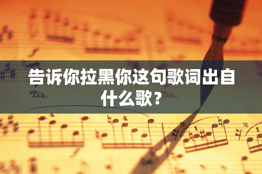 告诉你拉黑你这句歌词出自什么歌？
