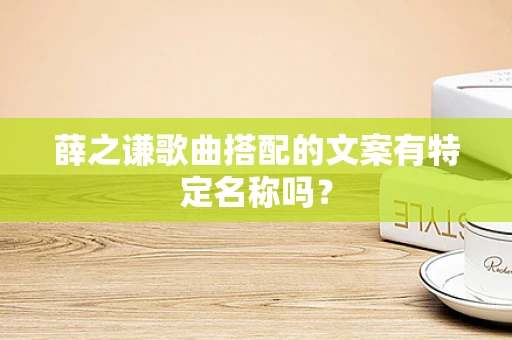 薛之谦歌曲搭配的文案有特定名称吗？