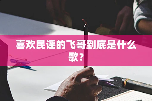 喜欢民谣的飞哥到底是什么歌？