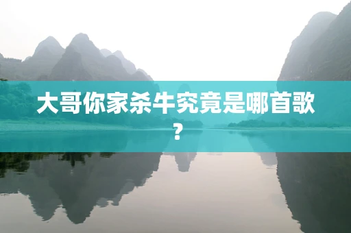 大哥你家杀牛究竟是哪首歌？