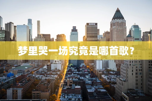梦里哭一场究竟是哪首歌？