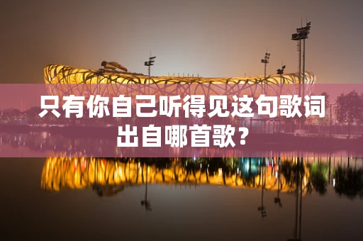 只有你自己听得见这句歌词出自哪首歌？