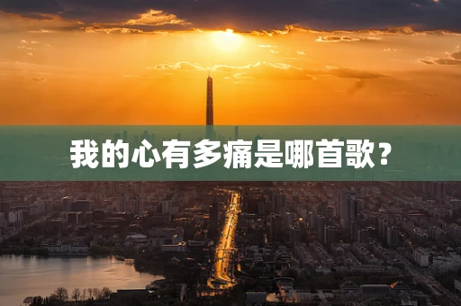 我的心有多痛是哪首歌？