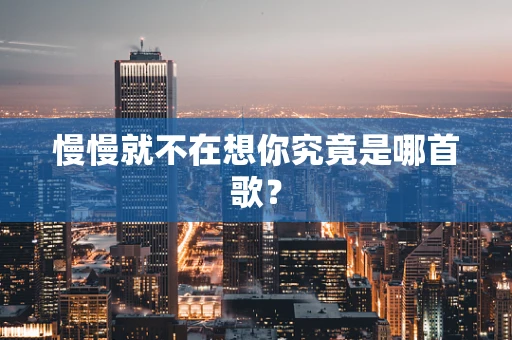 慢慢就不在想你究竟是哪首歌？