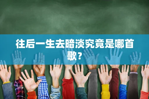 往后一生去暗淡究竟是哪首歌？