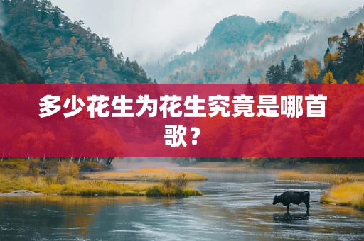 多少花生为花生究竟是哪首歌？