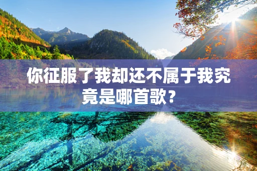 你征服了我却还不属于我究竟是哪首歌？