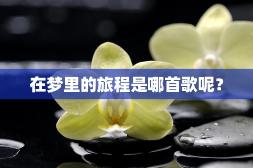 在梦里的旅程是哪首歌呢？