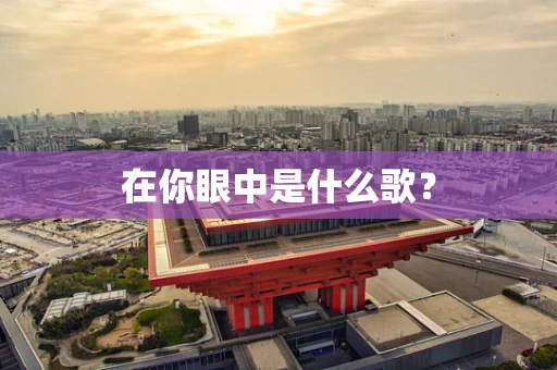 在你眼中是什么歌？